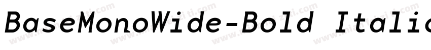 BaseMonoWide-Bold Italic字体转换